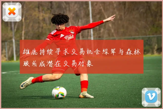 雄鹿持续寻求交易机会绿军与森林狼或成潜在交易对象